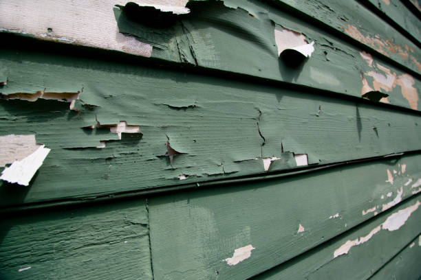 Best Property Management Cleanouts  in Monrovia, CA