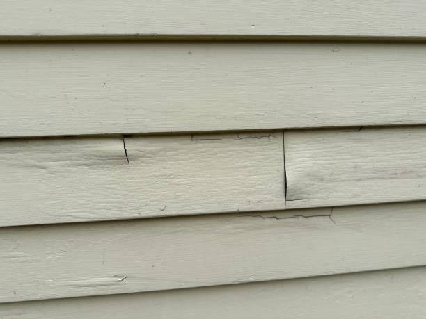 Best Shed Removal  in Monrovia, CA